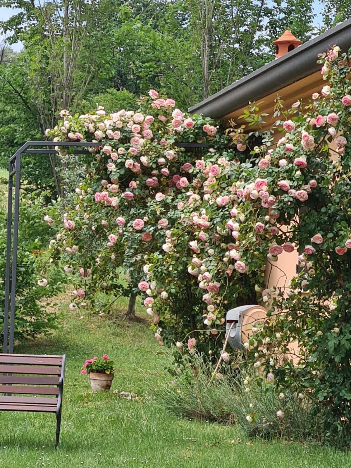 B&B Rosaverde Mulazzano ภายนอก รูปภาพ